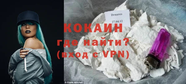 дживик Елабуга