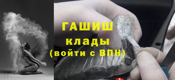 дмт Ельня