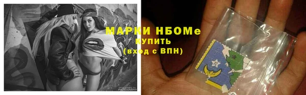 дживик Елабуга