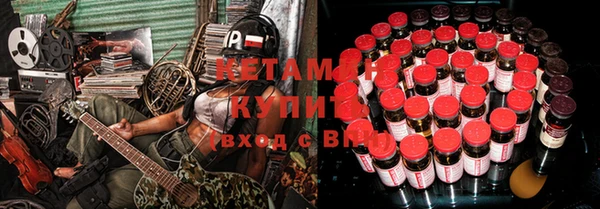 дмт Ельня