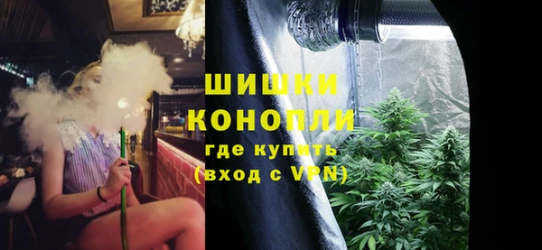 дживик Елабуга