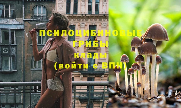 дмт Ельня