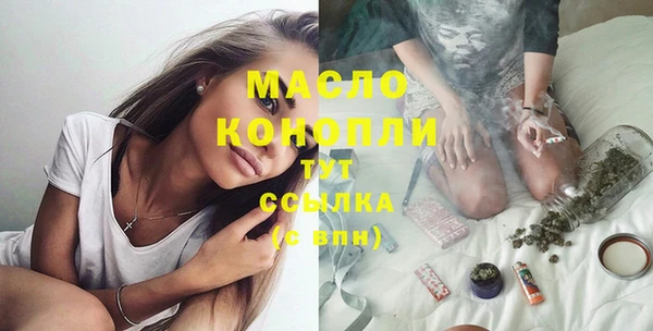 дмт Ельня