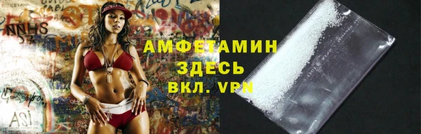 дмт Ельня