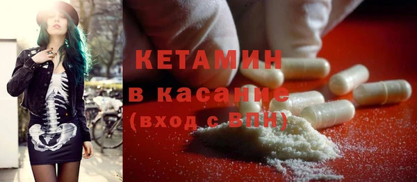 дмт Ельня