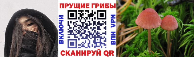 цена   Сердобск  кракен зеркало  Галлюциногенные грибы мухоморы 