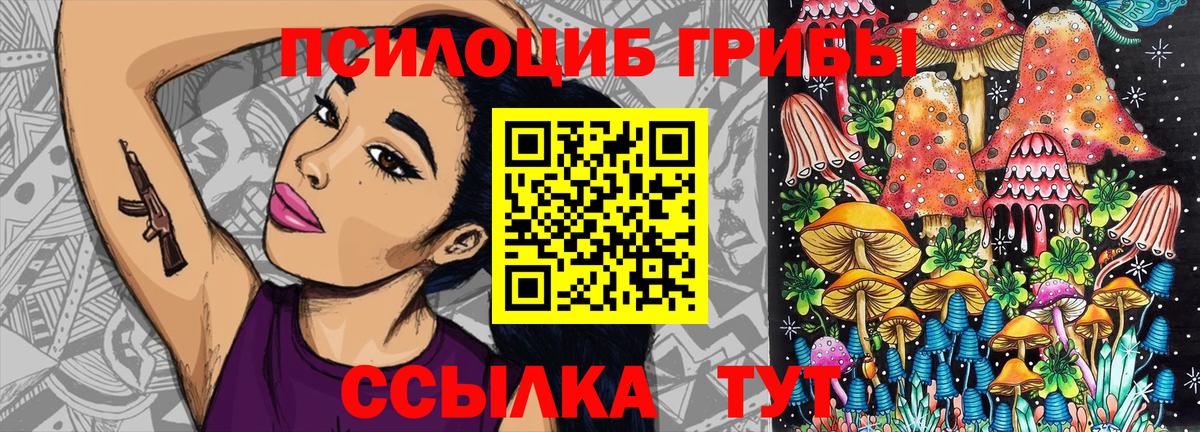 Псилоцибиновые грибы MAGIC MUSHROOMS  Сердобск  Галлюциногенные грибы Psilocybe 