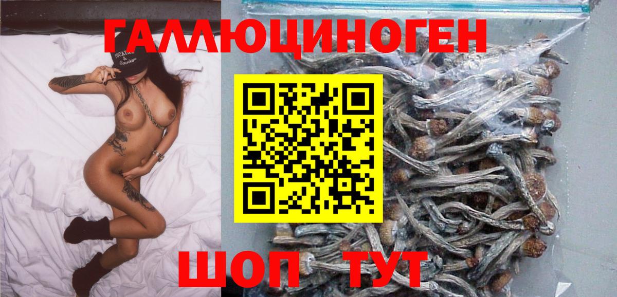 Галлюциногенные грибы GOLDEN TEACHER  Вход с VPN  Сердобск 